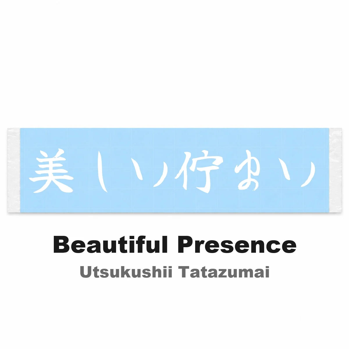 Beautiful Presence Japanese Kanji JDM Vinyl Decal Sticker - Image 2