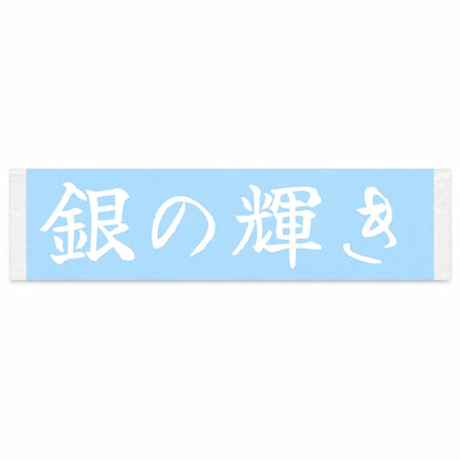 Silver Shine Japanese Kanji JDM Vinyl Decal Sticker - Image 1