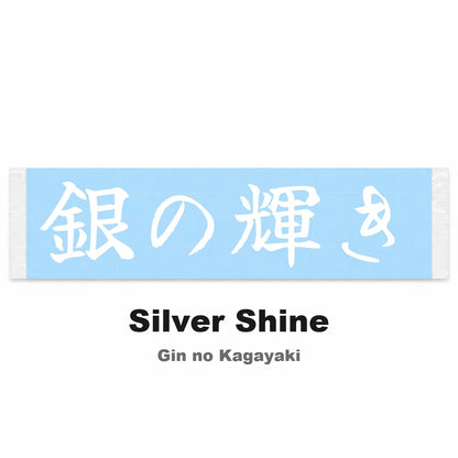 Silver Shine Japanese Kanji JDM Vinyl Decal Sticker - Image 2