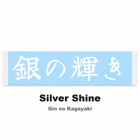 Silver Shine Japanese Kanji JDM Vinyl Decal Sticker - Image 2