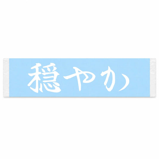 Peaceful Japanese Kanji JDM Vinyl Decal Sticker - Image 1
