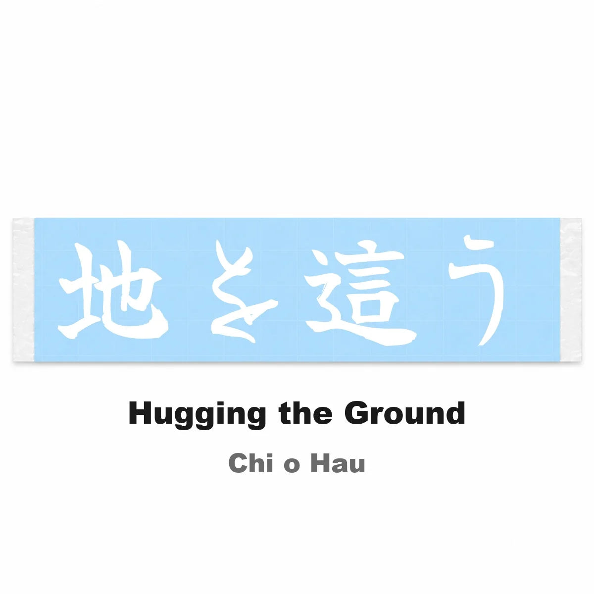 Hugging the Ground Japanese Kanji JDM Vinyl Decal Sticker - Image 2