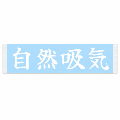 Naturally Aspirated Japanese Kanji JDM Vinyl Decal Sticker - Image 1