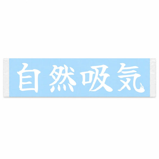 Naturally Aspirated Japanese Kanji JDM Vinyl Decal Sticker - Image 1