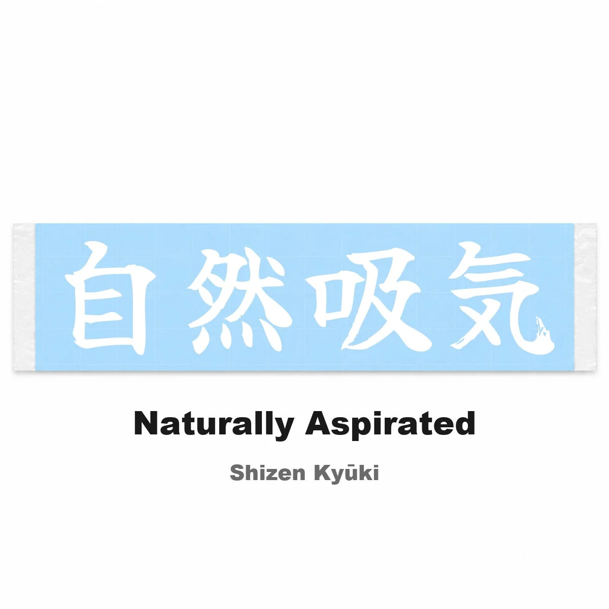 Naturally Aspirated Japanese Kanji JDM Vinyl Decal Sticker - Image 2