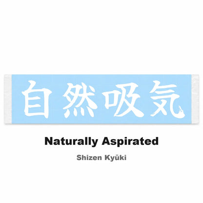 Naturally Aspirated Japanese Kanji JDM Vinyl Decal Sticker - Image 2