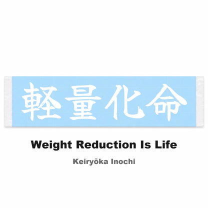 Weight Reduction Is Life Japanese Kanji JDM Vinyl Decal Sticker - Image 2