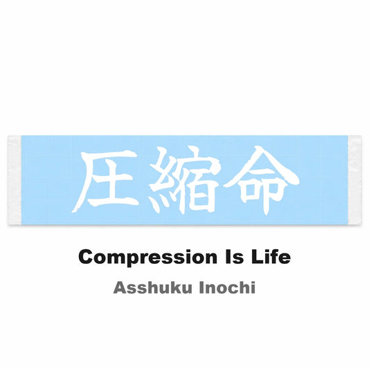 Compression Is Life Japanese Kanji JDM Vinyl Decal Sticker - Image 2