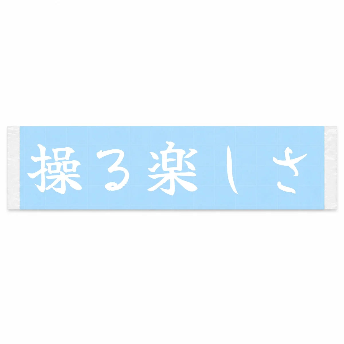 The Fun of Control Japanese Kanji JDM Vinyl Decal Sticker - Image 1