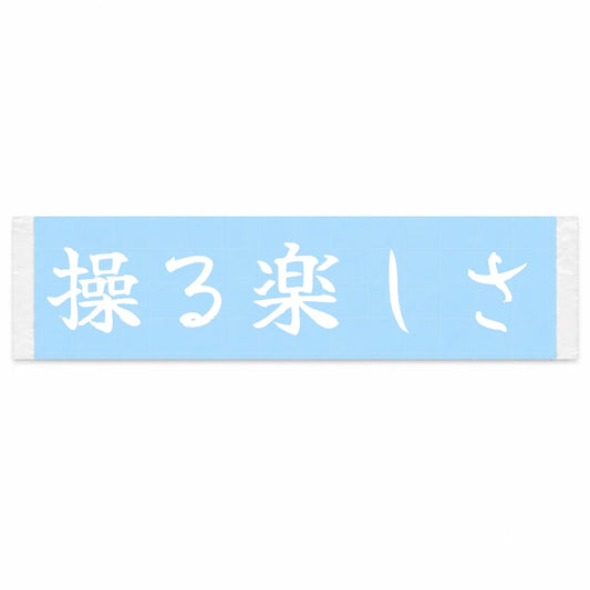 The Fun of Control Japanese Kanji JDM Vinyl Decal Sticker - Image 1