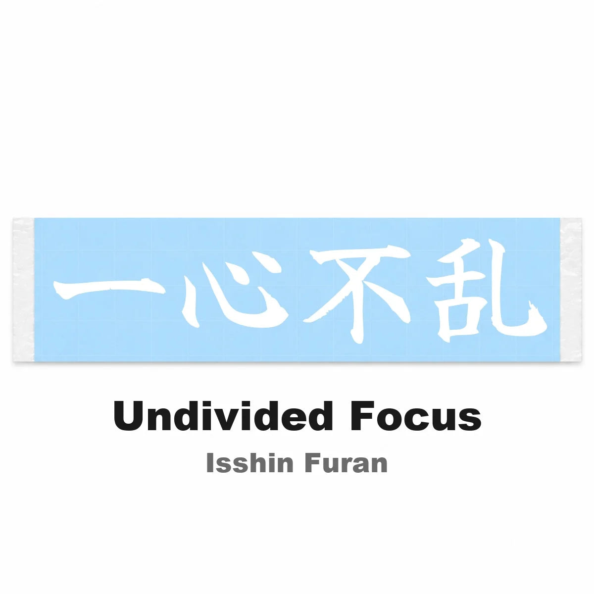 Undivided Focus Japanese Kanji JDM Vinyl Decal Sticker - Image 2