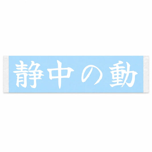 Motion in Stillness Japanese Kanji JDM Vinyl Decal Sticker - Image 1