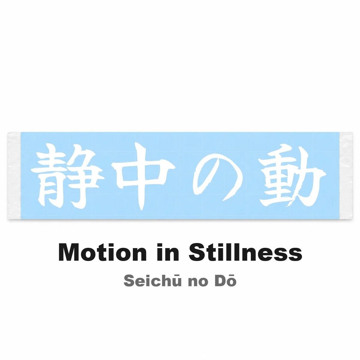 Motion in Stillness Japanese Kanji JDM Vinyl Decal Sticker - Image 2