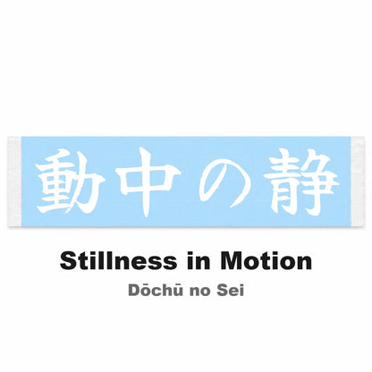 Stillness in Motion Japanese Kanji JDM Vinyl Decal Sticker - Image 2