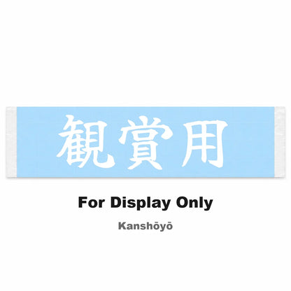 For Display Only Japanese Kanji JDM Vinyl Decal Sticker - Image 2