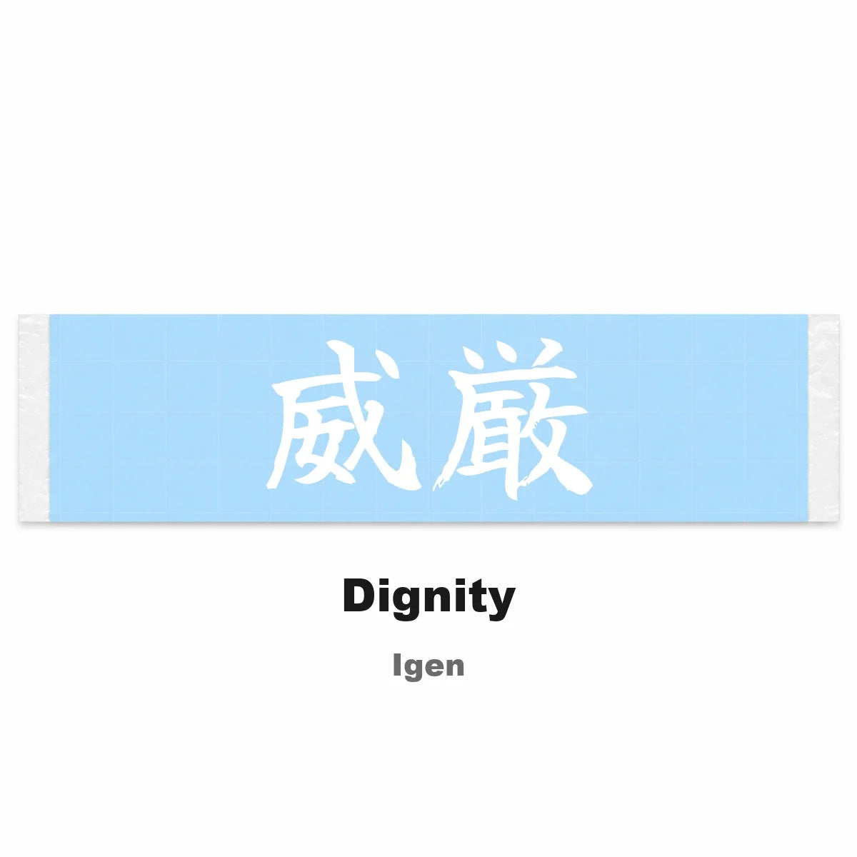 Dignity Japanese Kanji JDM Vinyl Decal Sticker - Image 2