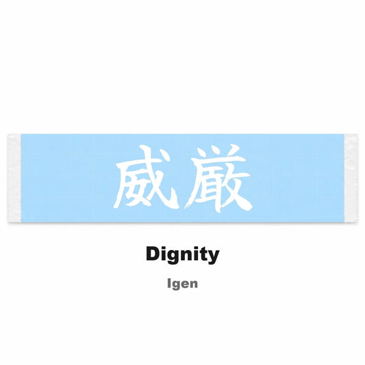 Dignity Japanese Kanji JDM Vinyl Decal Sticker - Image 2