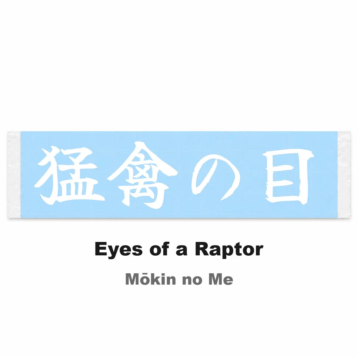 Eyes of a Raptor Japanese Kanji JDM Vinyl Decal Sticker - Image 2