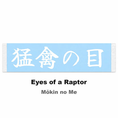 Eyes of a Raptor Japanese Kanji JDM Vinyl Decal Sticker - Image 2