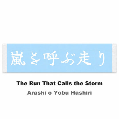 The Run That Calls the Storm Japanese Kanji JDM Vinyl Decal Sticker - Image 2