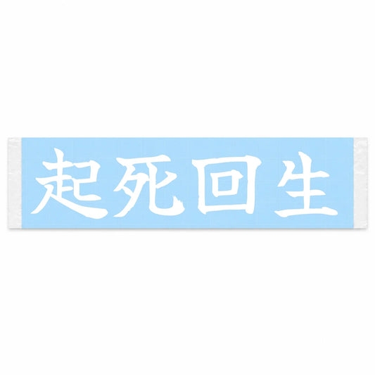 Back From the Brink Japanese Kanji JDM Vinyl Decal Sticker - Image 1