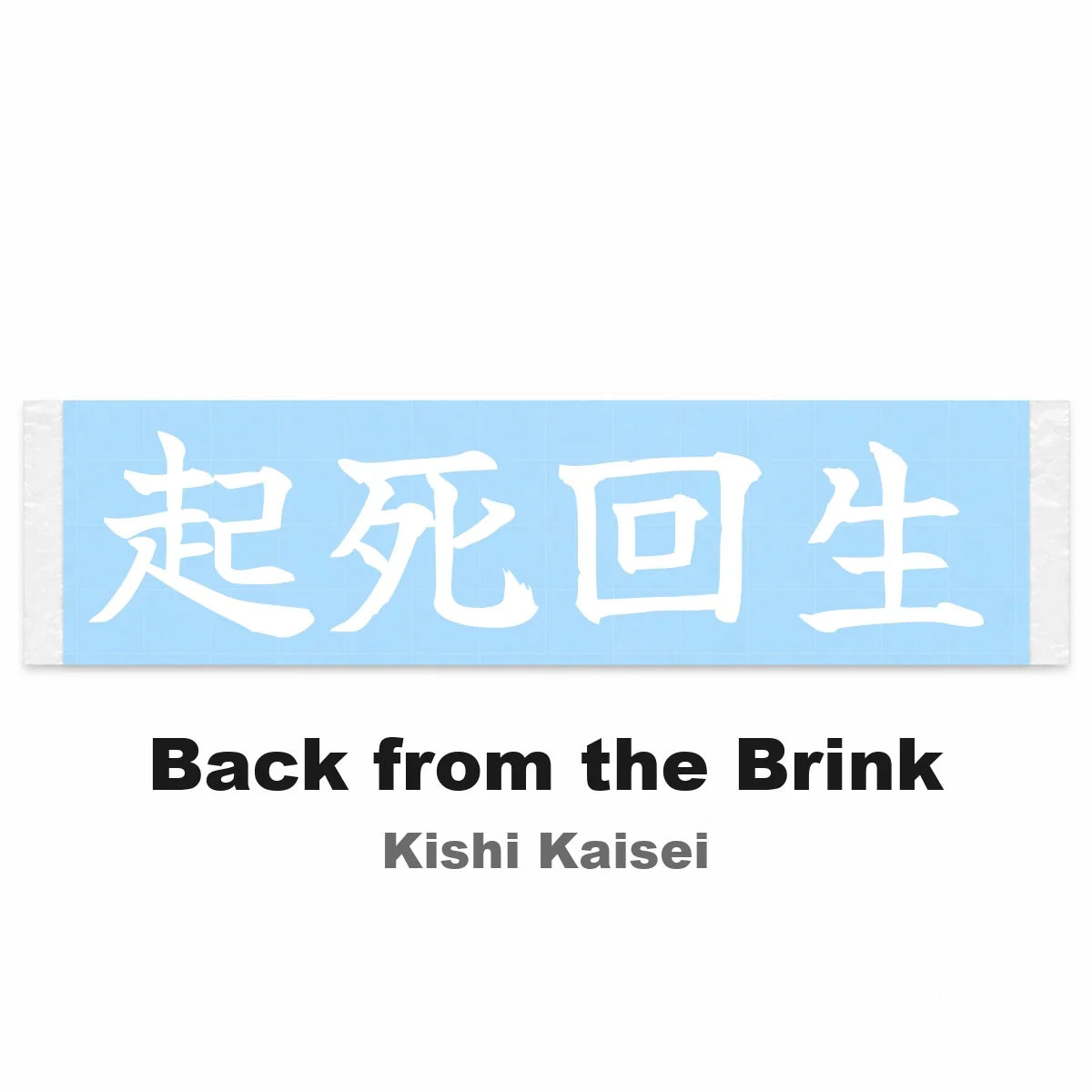 Back From the Brink Japanese Kanji JDM Vinyl Decal Sticker - Image 2