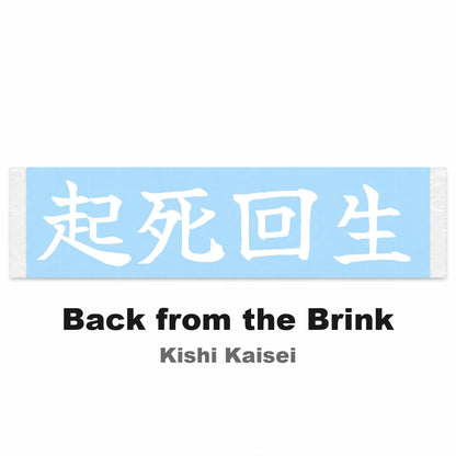 Back From the Brink Japanese Kanji JDM Vinyl Decal Sticker - Image 2
