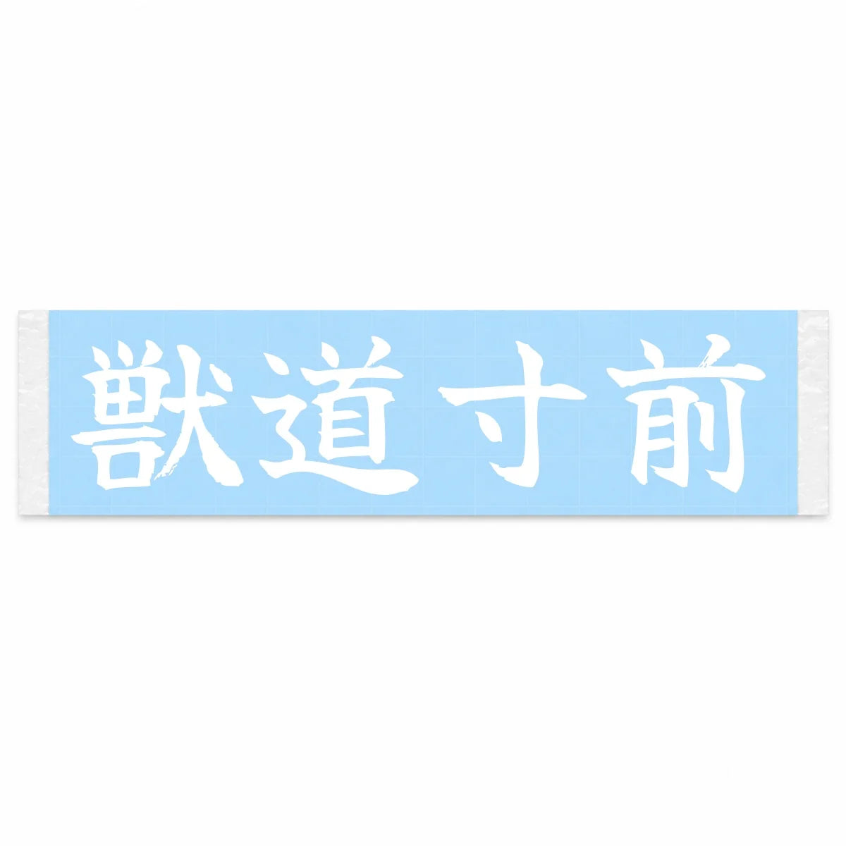 Practically a Game Trail Japanese Kanji JDM Vinyl Decal Sticker - Image 1