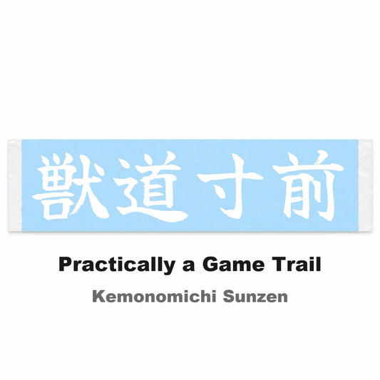 Practically a Game Trail Japanese Kanji JDM Vinyl Decal Sticker - Image 2