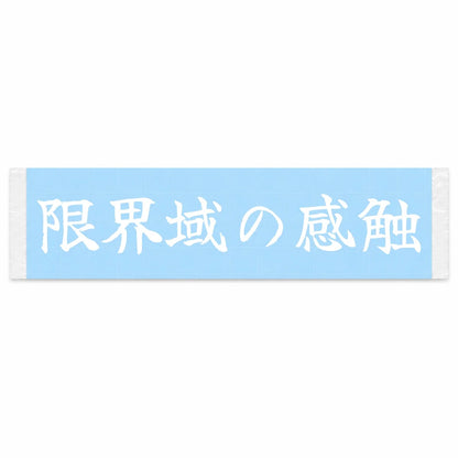 Feel at the Limit Japanese Kanji JDM Vinyl Decal Sticker - Image 1