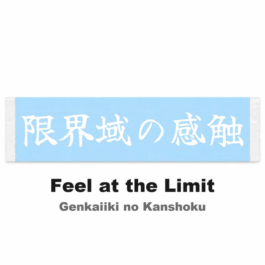 Feel at the Limit Japanese Kanji JDM Vinyl Decal Sticker - Image 2