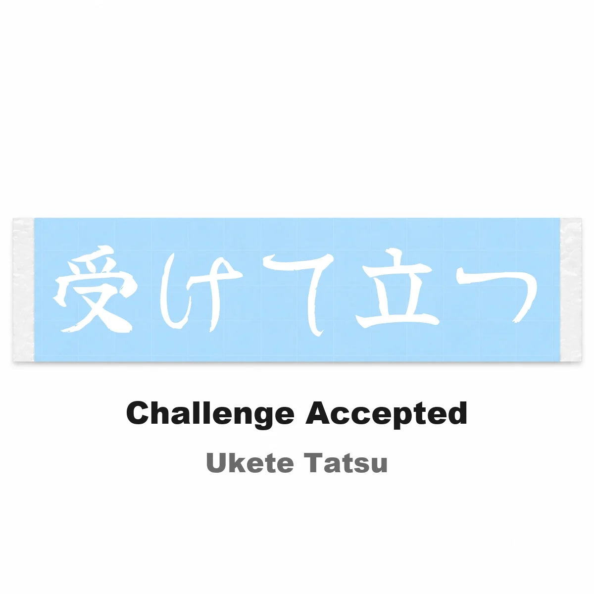 Challenge Accepted Japanese Kanji JDM Vinyl Decal Sticker - Image 2