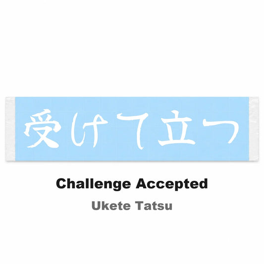 Challenge Accepted Japanese Kanji JDM Vinyl Decal Sticker - Image 2